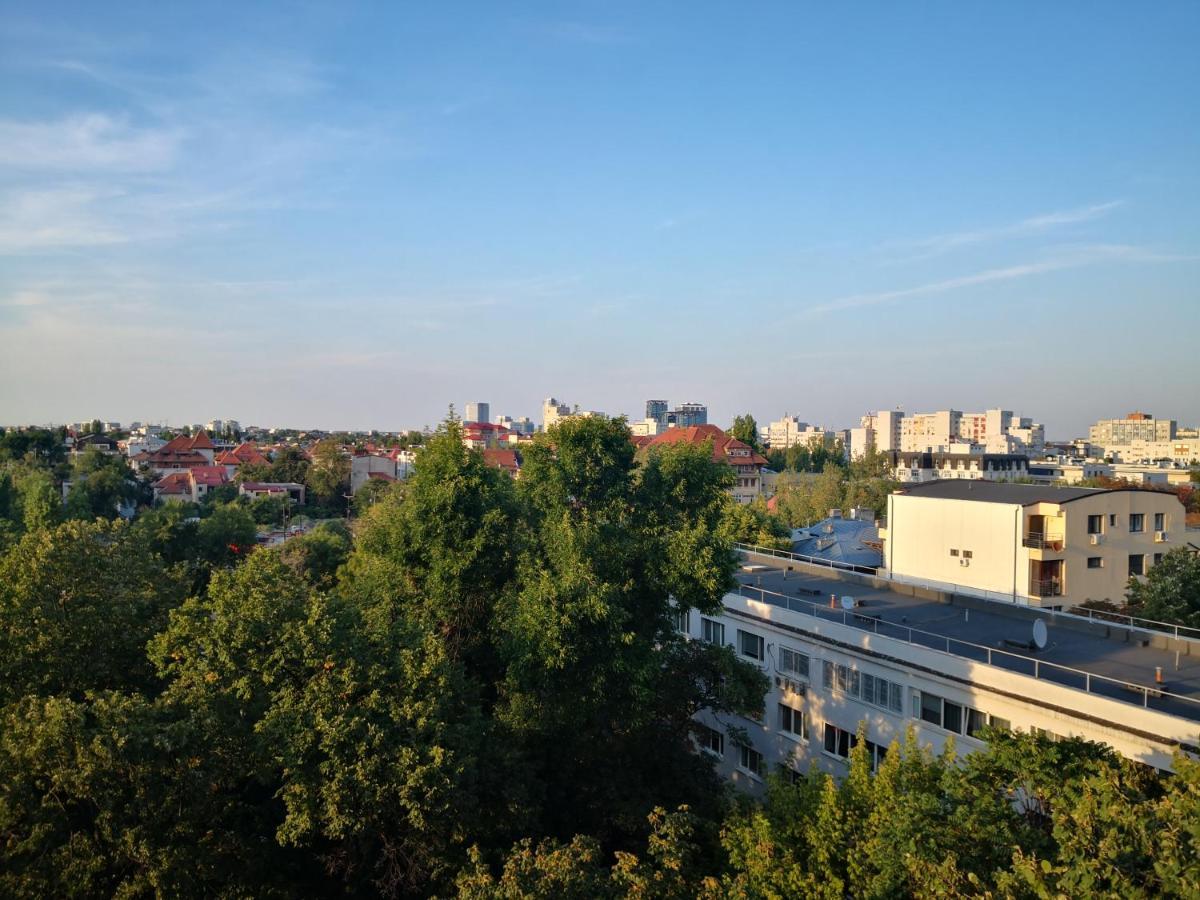 STUDIO Piata Victoriei  Bucureşti Exterior foto